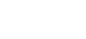 Worldest IntelliSoft Ltd Logo